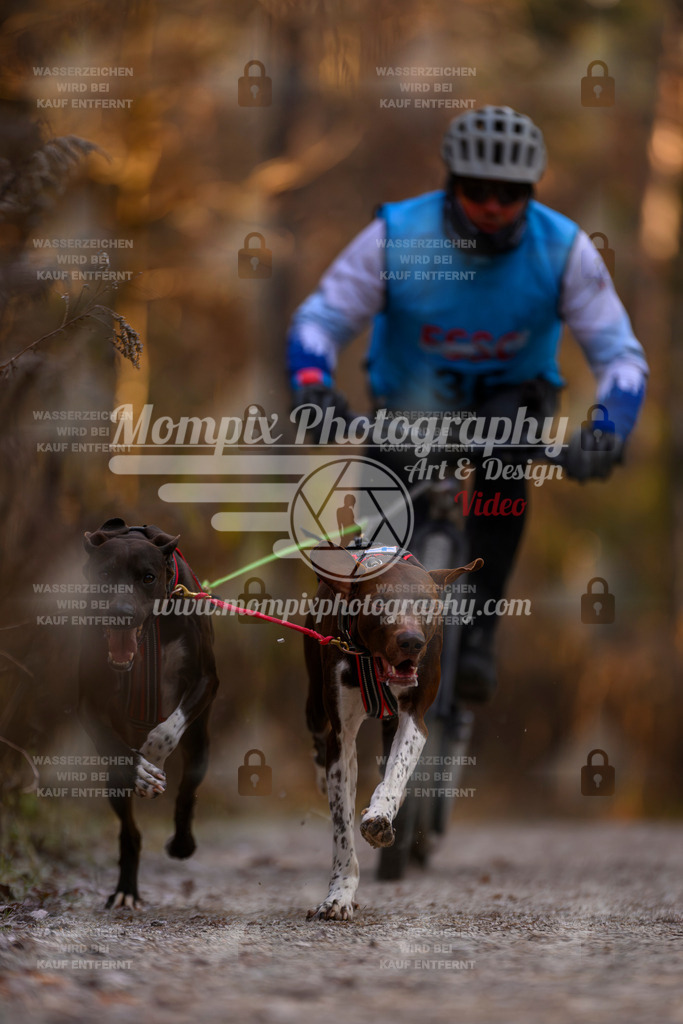 MompixPhotography_DM_AKDM_SO_2025_Scooter-10 | PayLife