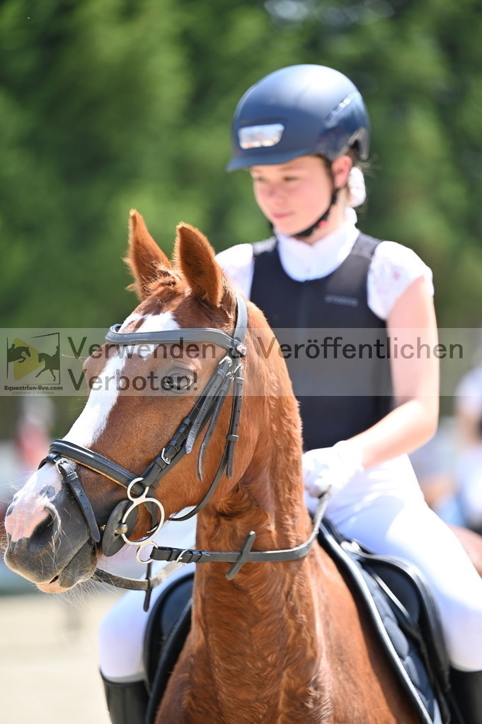 DSC_4247 | equestrian-live-com