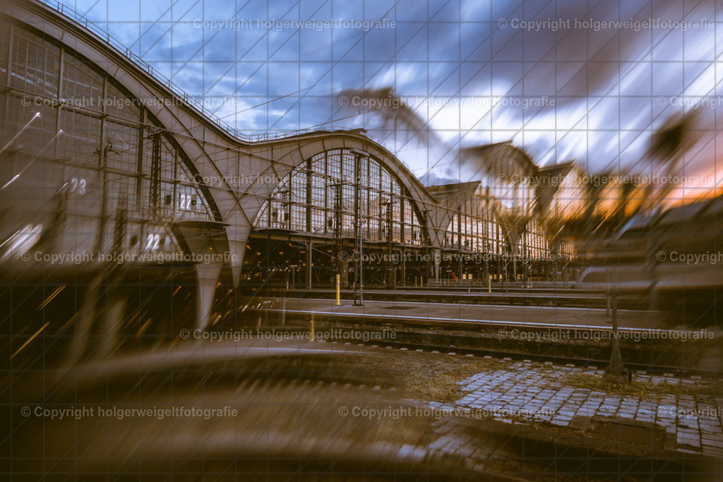 20260703211820Z63_5463 | Kaufen sie online außergewöhnliche Fotografien auf Leinwand Acrylglas Fotoprint Aludibond von holgerweigeltfotografie - Realisiert mit Pictrs.com