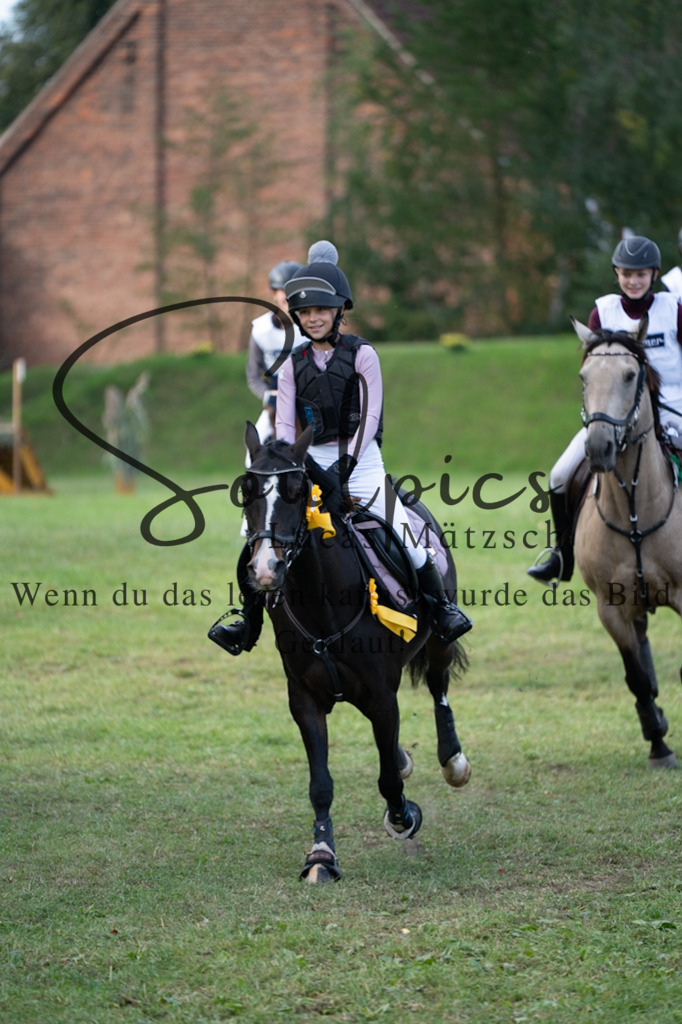 A7V03174 | Turnier/Reitfotograf