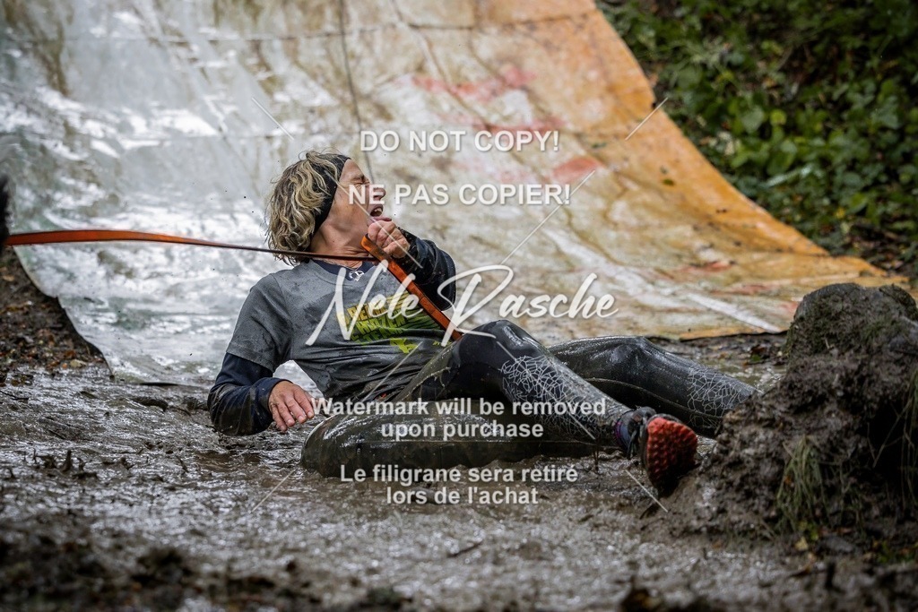 nelerasche_Hunsrück_Sa1300-1400_360-final | nelerasche
