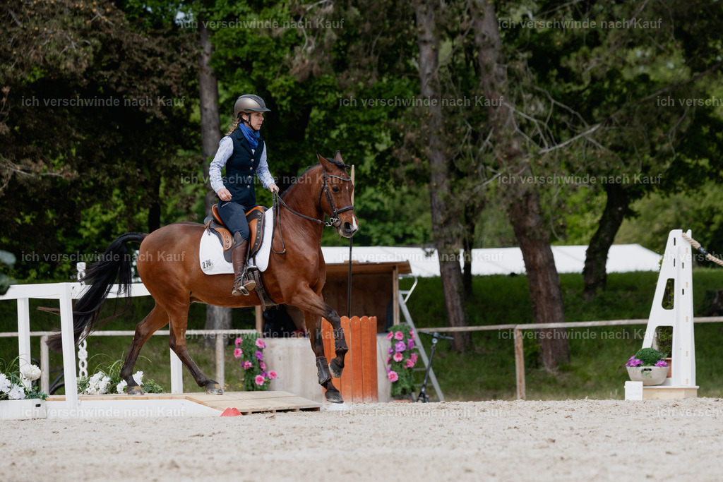 PI26_SP_StoibphotographyC2_C1213.jpg | working equitationturnier fotograf videograf stoibphotography marixx film working equitation deutschland reitsport turnierfotografie eventfotografie equestrian events