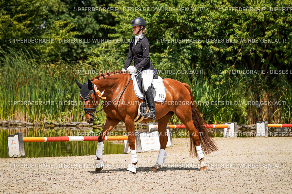 DSC01921 | Pferdegrafie