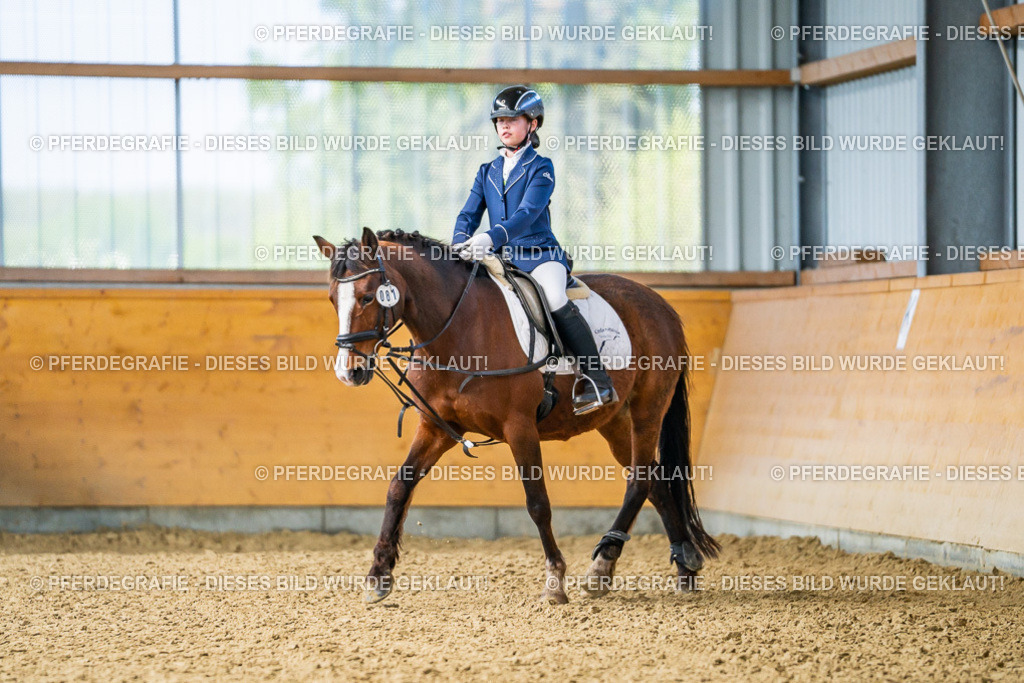 DSC02481 | Pferdegrafie