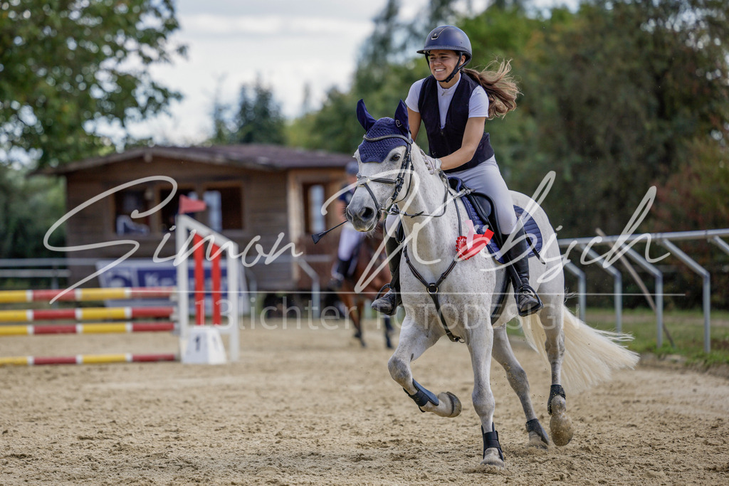 20250906-_3LI6695 | Tierfotografie Pferde, Hunde, Katzen, Haustiere.
Turnierfotografie Reitturniere, Reiten, Springreiten, Dressur in Hanau, dem Main-Kinzig-Kreis und dem Rhein-Main- Gebiet um Frankfurt
