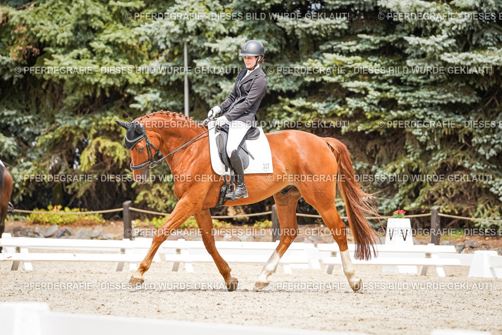 DSC03989 | Pferdegrafie