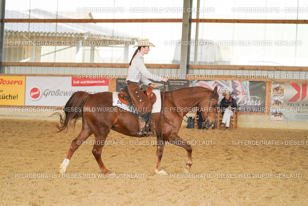 DSC01339 | Pferdegrafie