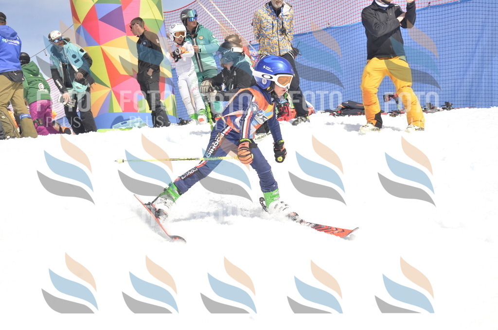 _ELE9387 | holidayphoto