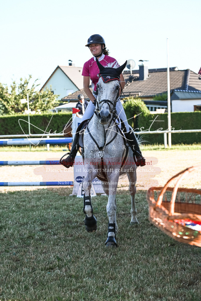 DSC_3210 | Pferde- und Turnierfotografie in Westsachsen. Pferdeportraits, Auftragszeichnungen und intuitive Kunst.