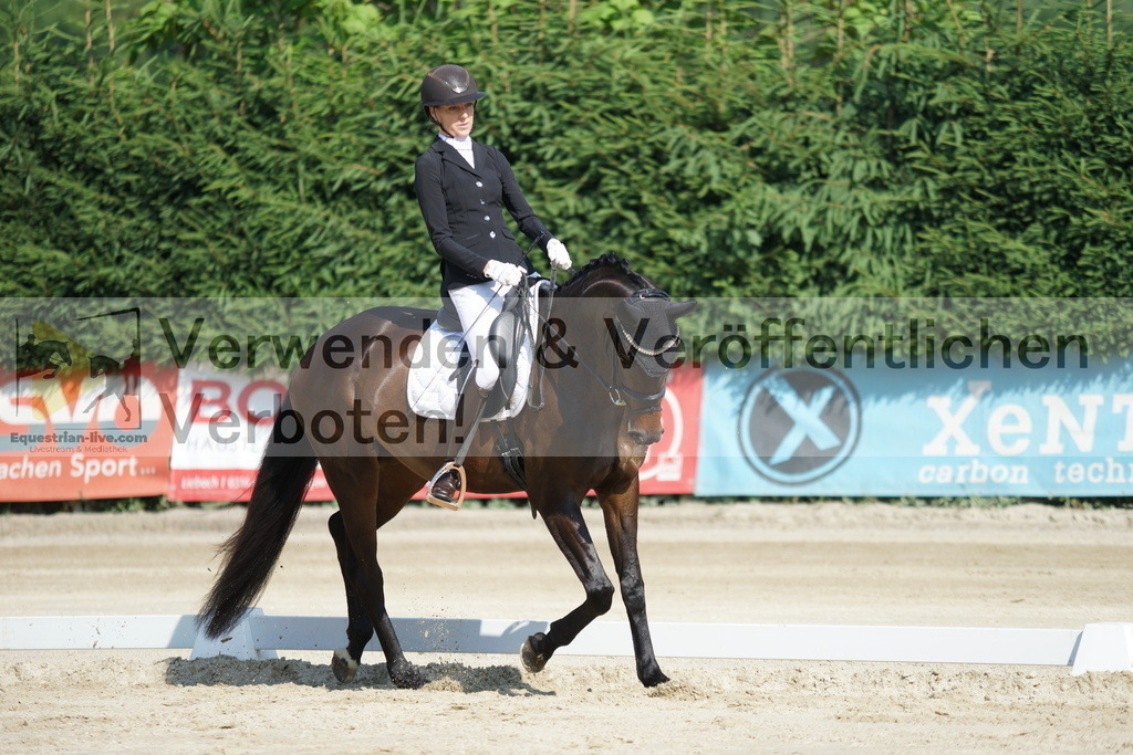 DSC01379 | equestrian-live-com