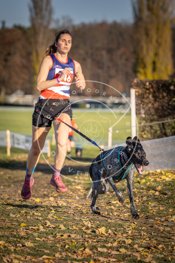 CaniXpix_DV3A2328 | Hundefotografie, Tierfotograf, Pfotenfotografie, Fotoshooting Hund, Hunde Portrait, Hundesport, Hundeportraits, Heideshooting, Hunde, Sportfotograf, Hundefotograf, Turnierhundsport, THS,  - Realisiert mit Pictrs.com
