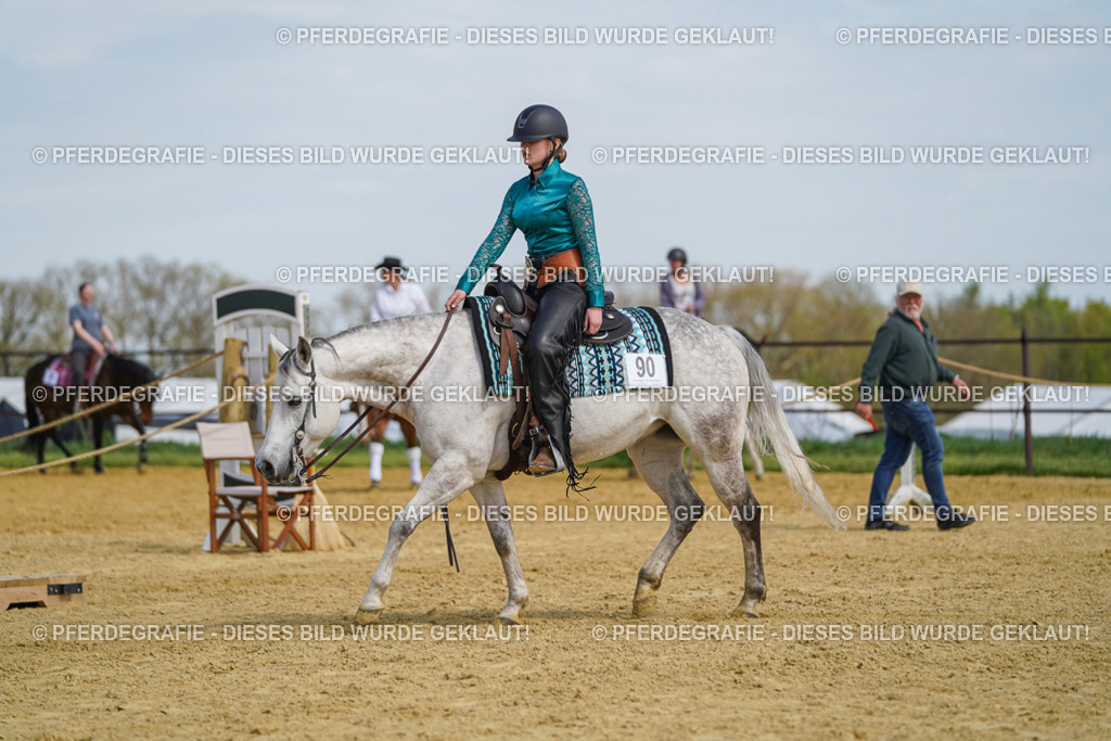 DSC04666 | Pferdegrafie