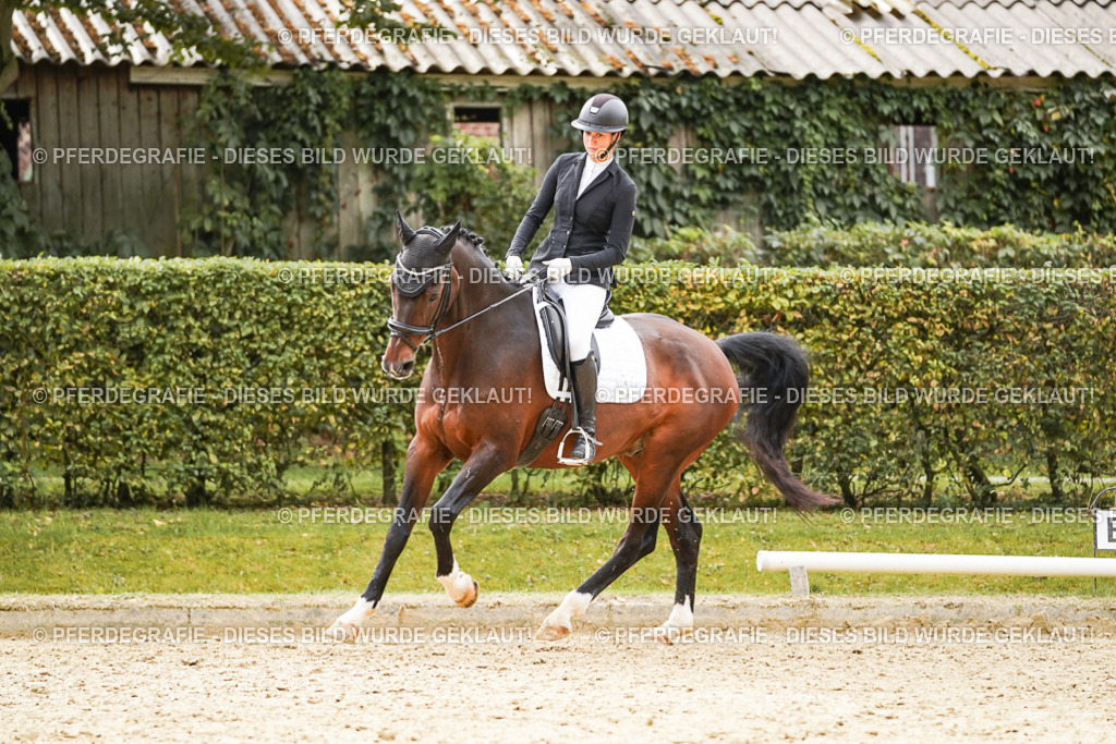 DSC09900 | Pferdegrafie