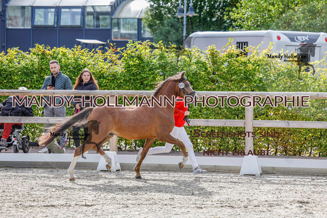 GK (358 von 759) | mandyhollmannphotographie