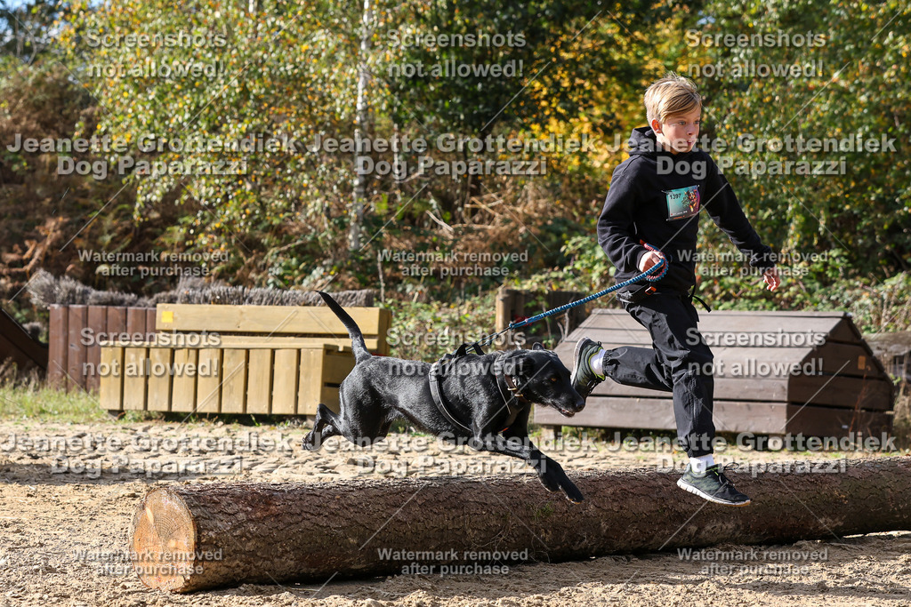 Dog Paparazzi - Strongdog 10-25-5835 | Dog Paparazzi Jeanette Grottendiek Fotografie & Videografie - Realisiert mit Pictrs.com