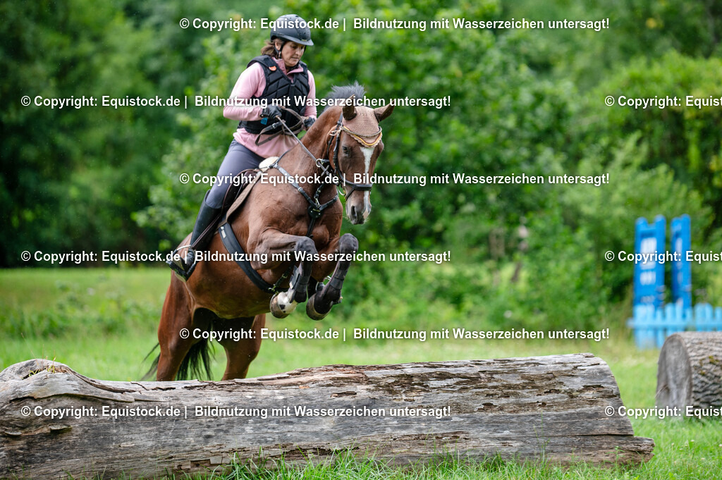 20250725_Vielseitigkeitslehrgang-Marbach_0377 | Foto: Thomas Hartig