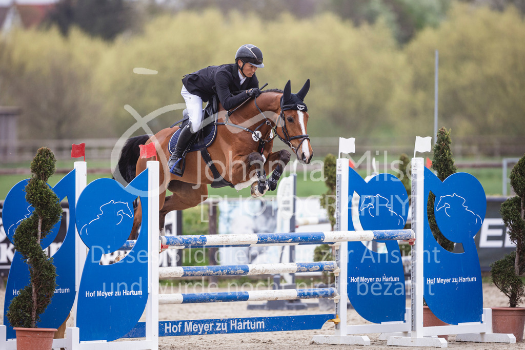 250417_Springpferde-L1-302 | Deine schönsten Turniermomente als professionelle Fotos! Entdecke hochwertige Pferdesport-Fotografie im Online-Shop. Jetzt Fotos finden & bestellen!