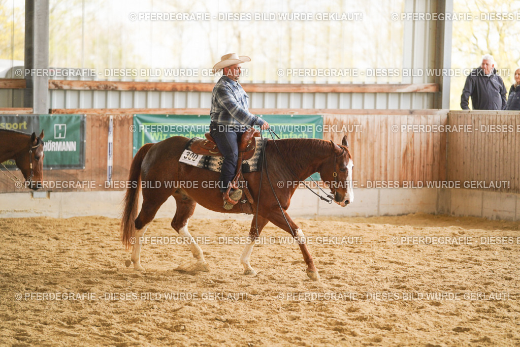 DSC08114 | Pferdegrafie