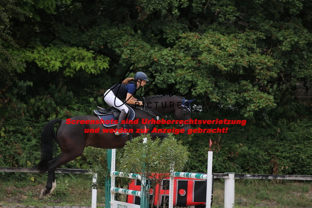 IMG_2205 | lmwpictures - Realisiert mit Pictrs.com