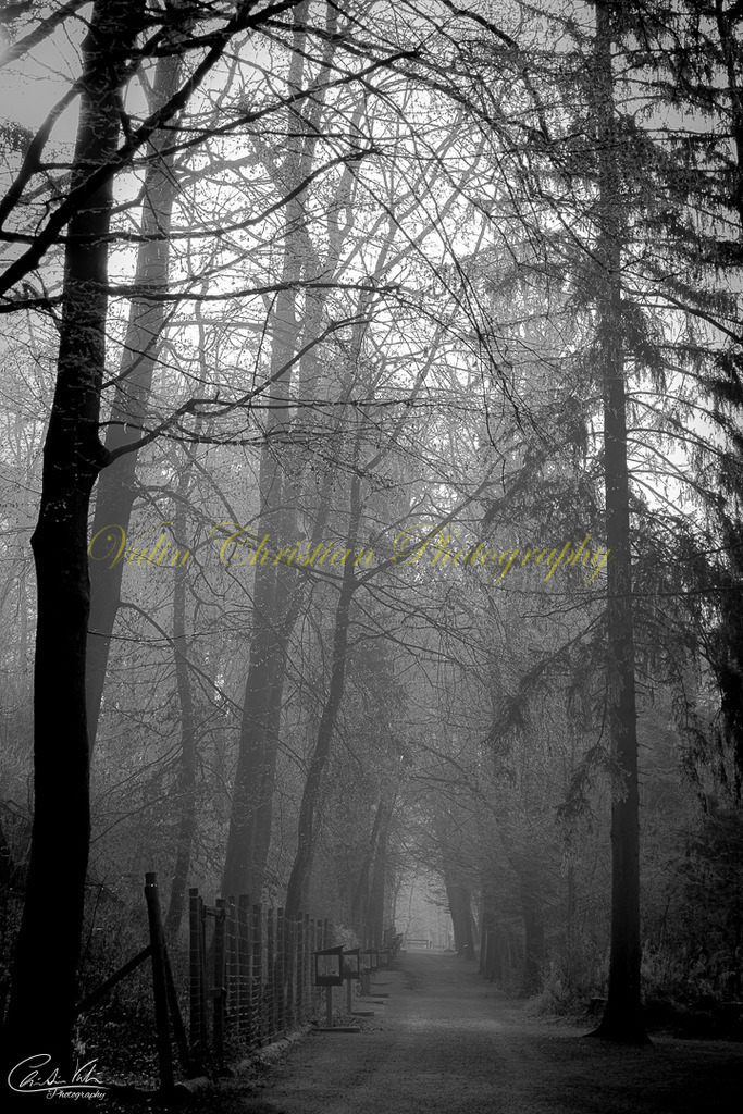 TPH 2 | Christian Vulin  - Realisiert mit Pictrs.com