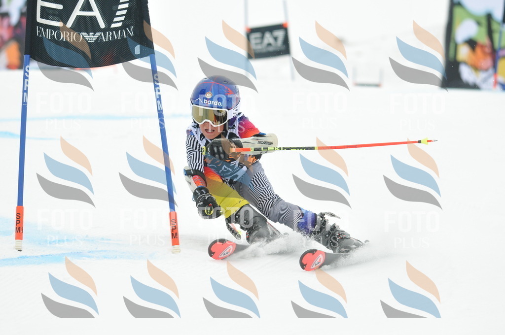 DSC_7952 | holidayphoto