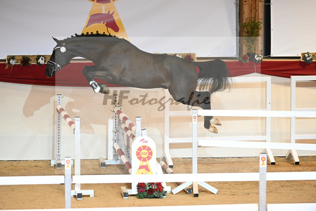 Kat-Nr. 15 Cornet de Semilly_Agrar Handelsgesellschaft Salzfurtkapelle_1230839 | hf-fotografie - Realizzato con Pictrs.com