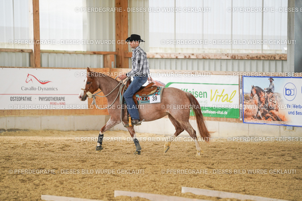 DSC03682 | Pferdegrafie