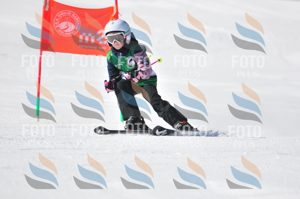 C3046 | holidayphoto