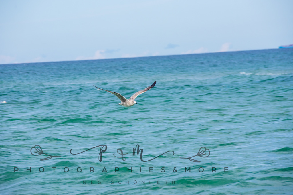 _Grenen22-1792 | Photographies and more - Realisiert mit Pictrs.com