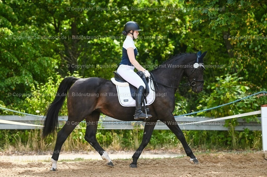 20230715_09_Dressur-WB_0207 | equistock