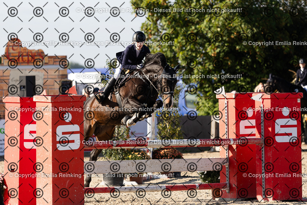 CL5A3331 | Emilia Reinking Fotografie - Realisiert mit Pictrs.com