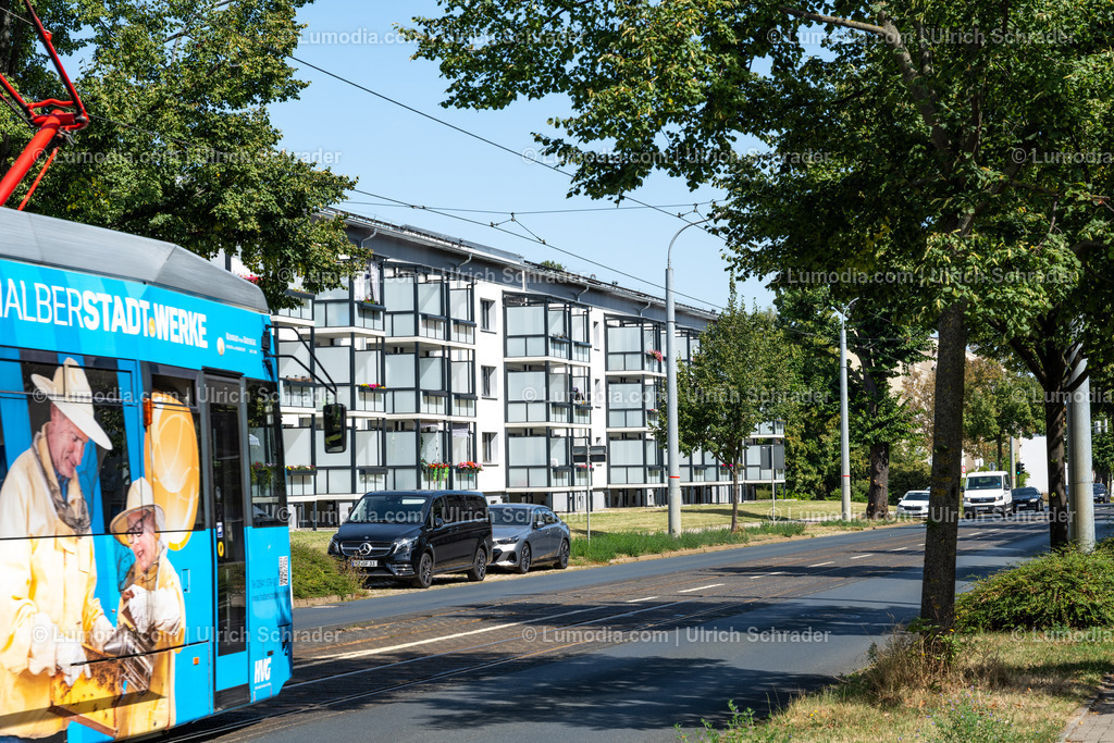 10049-14199 - Umbau von Plattenbauten in Halberstadt | Stockfoto und Bilderpool mit Bildmaterial aus Deutschland, dem Harz, Halberstadt, Quedlinburg, Wernigerode und weltweit. Qualitativ hochwertige und professionelle Fotos anschauen und kaufen. - Realisiert mit Pictrs.com