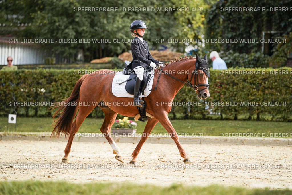 DSC04883 | Pferdegrafie