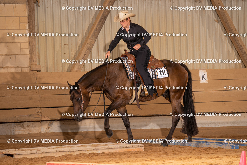 NID00624 | dv-media-shop - Realisiert mit Pictrs.com