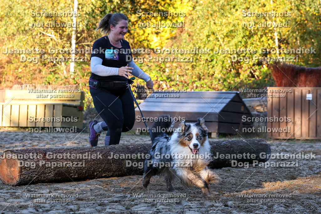 Dog Paparazzi - Strongdog 10-25-632 | Dog Paparazzi Jeanette Grottendiek Fotografie & Videografie - Realisiert mit Pictrs.com