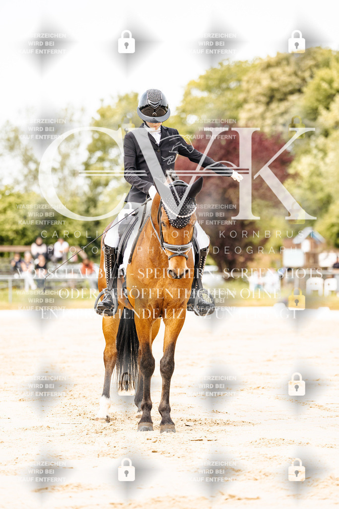 CK900900 | Turnierfotografie Pferdefotografie Trier Rheinland-Pfalz Pferdesport Reitsport Tierfotografie Sportfotografie Pferdevideo Pferdevideografie Equestrianvideography equestrianphotography  - Realisiert mit Pictrs.com