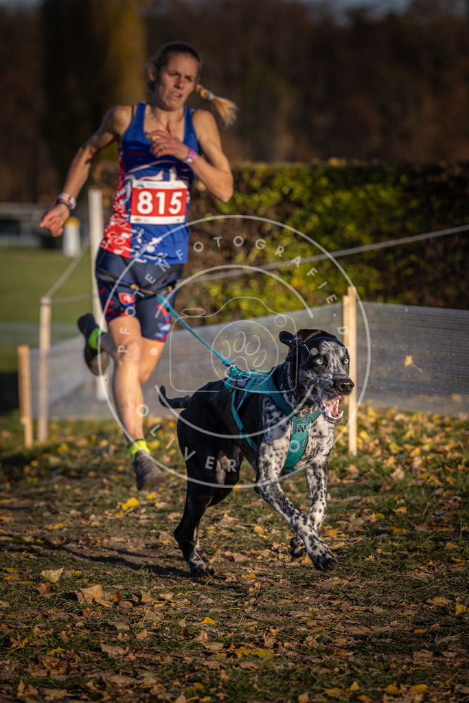 CaniXpix_DV3A3139 | Hundefotografie, Tierfotograf, Pfotenfotografie, Fotoshooting Hund, Hunde Portrait, Hundesport, Hundeportraits, Heideshooting, Hunde, Sportfotograf, Hundefotograf, Turnierhundsport, THS,  - Realisiert mit Pictrs.com