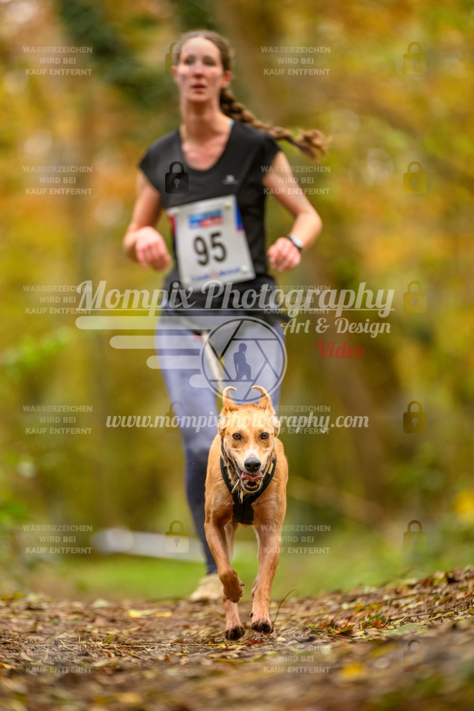 MompixPhotography_Bischwiller24_SA_Canicross-150 | PayLife