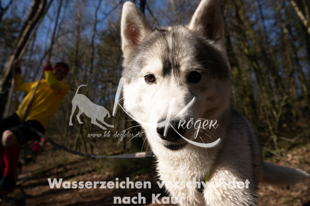 0917_ZZ97020 | kk-dogfotos
