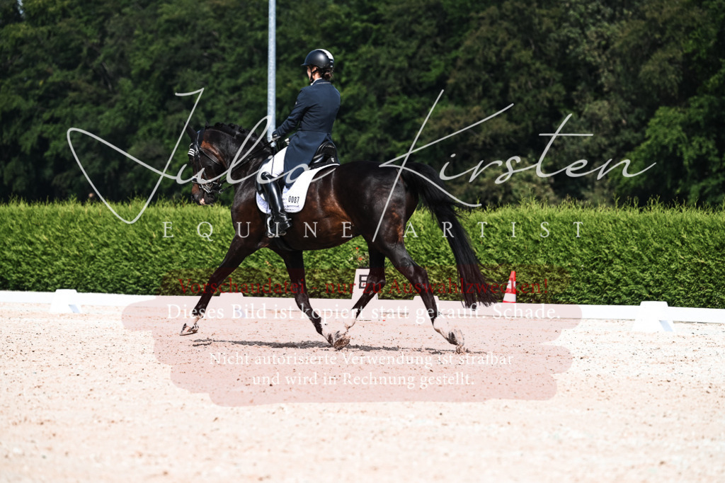 DSC_3305 | Pferde- und Turnierfotografie in Westsachsen. Pferdeportraits, Auftragszeichnungen und intuitive Kunst.