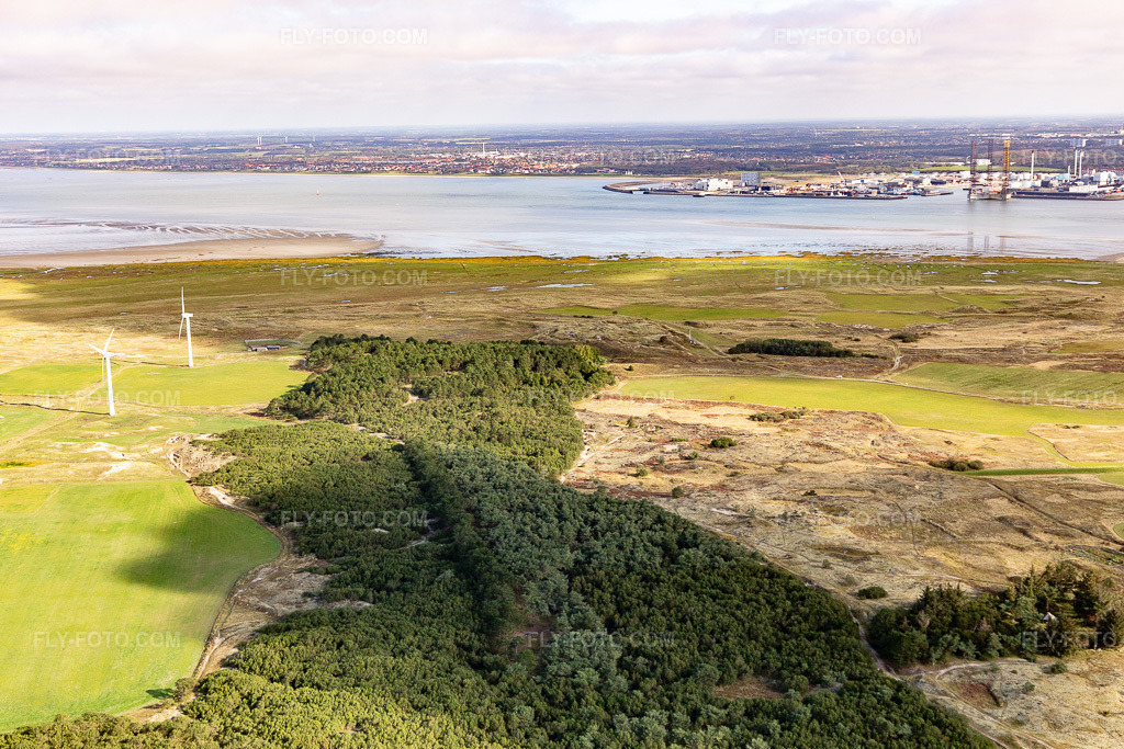 Aerial view: View of the town in Fanø in the state South Denmark, Denmark.Photo: IMG_118564.jpg taken on 09/21/2019 by Werner Riehm/FLY-FOTO.comResolution of the original: 5472 x 3648 px