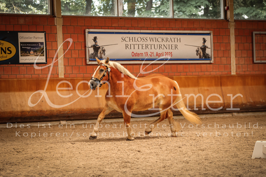 SaFL00228 | Leoni Ertmer Photography - Realisiert mit Pictrs.com