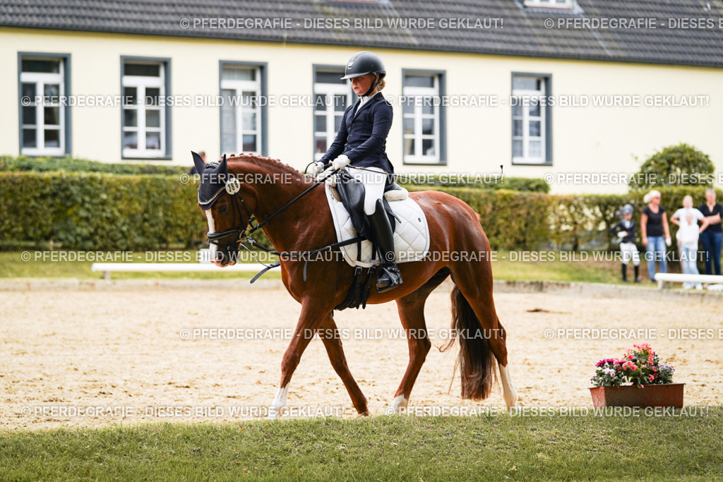 DSC09792 | Pferdegrafie