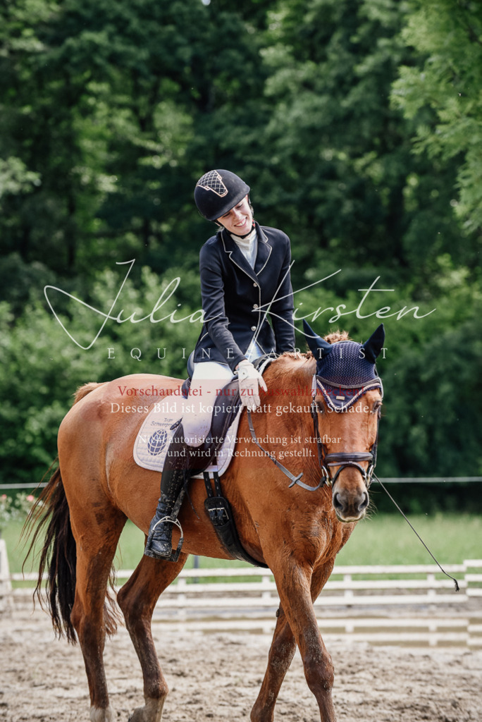 DSC_1611 | Pferde- und Turnierfotografie in Westsachsen. Pferdeportraits, Auftragszeichnungen und intuitive Kunst.
