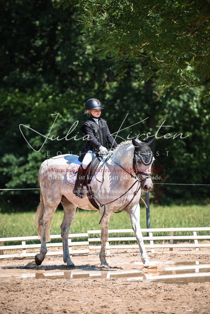 DSC_3079 | Pferde- und Turnierfotografie in Westsachsen. Pferdeportraits, Auftragszeichnungen und intuitive Kunst.