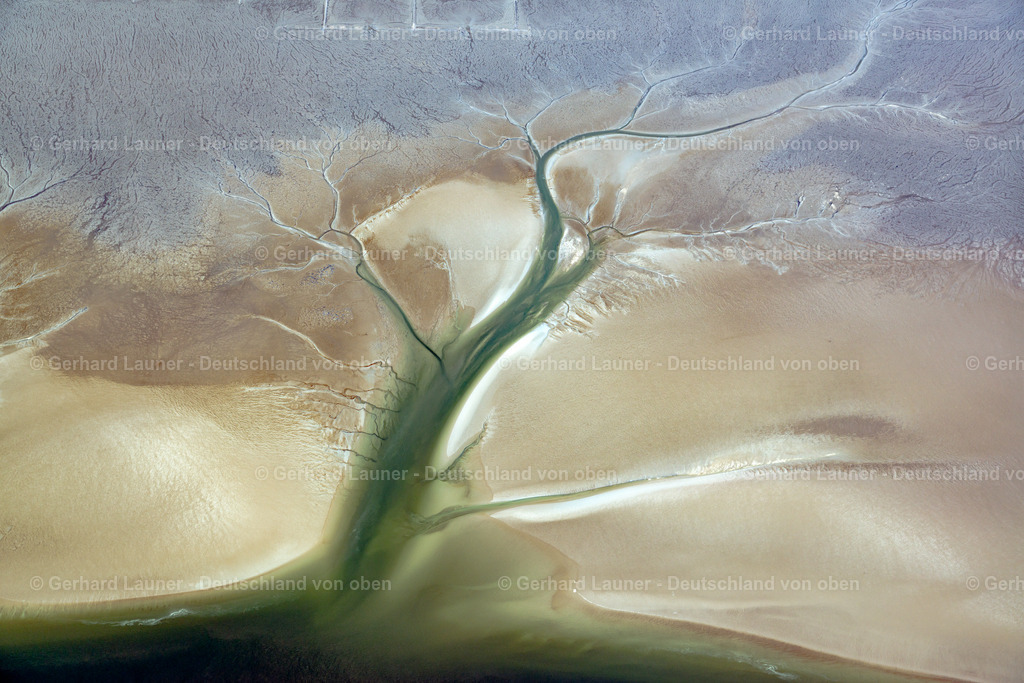3801605 | Wattstrukturen bei Hallig Südfall, Nationalpark Schleswig-Holsteinisches Wattenmeer