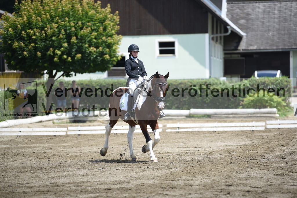 DSC_9706 | equestrian-live-com