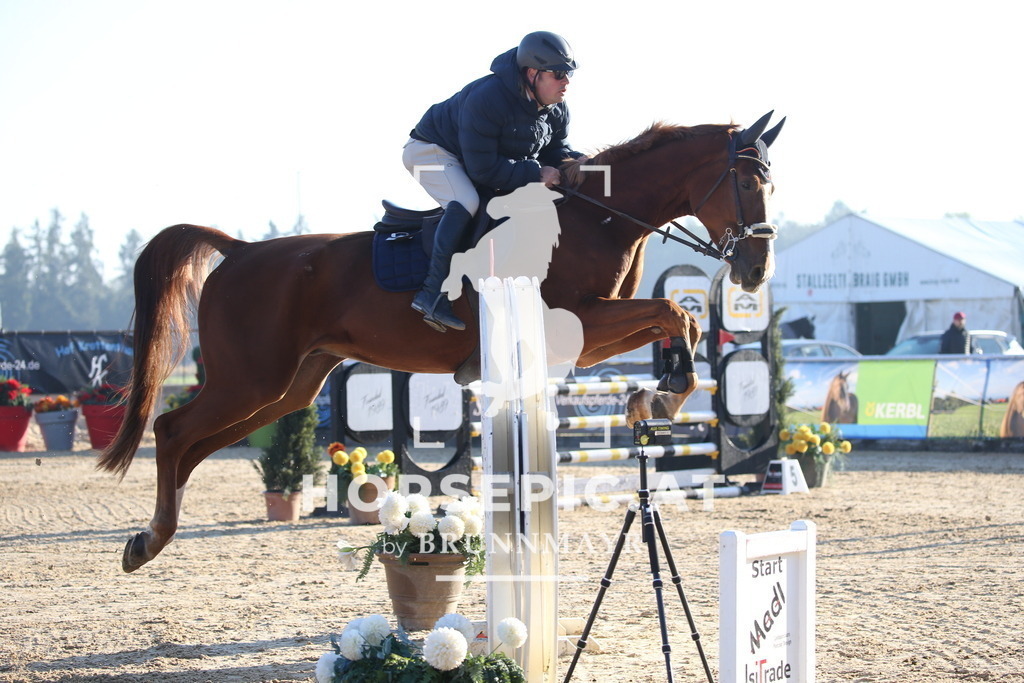 DL2Q0618 | Willkommen bei Brunnmayr - Design & Fotografie – Ihrem Spezialisten für Reitturniere und Pferdeveranstaltungen in Oberösterreich, Salzburg und Bayern! Seit über 17 Jahren sind wir leidenschaftlich dabei.