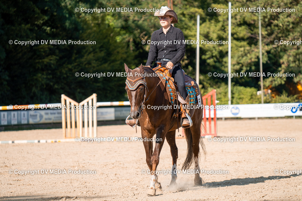 ZH100802 | dv-media-shop - Realisiert mit Pictrs.com