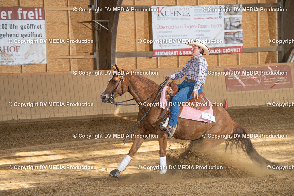 DSC00254 | dv-media-shop - Realisiert mit Pictrs.com